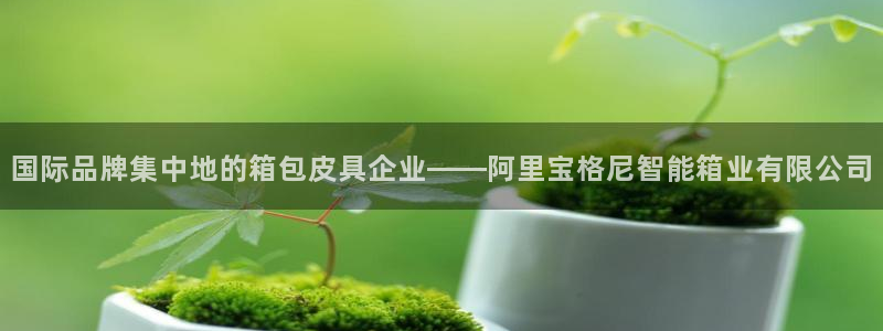 琳琅娱乐组飞车