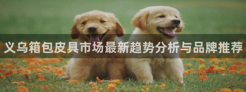 琳琅娱乐平台怎么样知乎