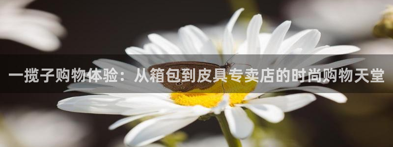 琳琅娱乐主管是谁