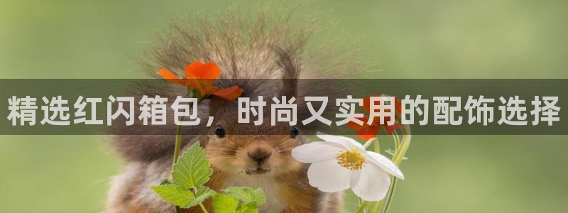 qq琳琅科技娱乐机器人