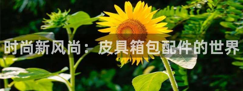 琳琅社区娱乐视频
