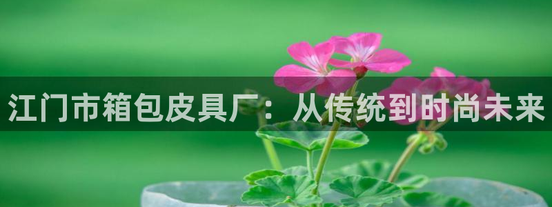 琳琅娱乐免费线上观看