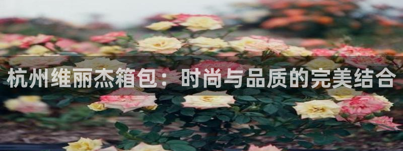 琳琅娱乐除7O777