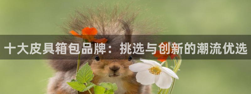 祖龙娱乐官网爱在琳琅