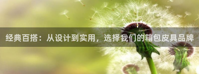 琅琳琅娱乐