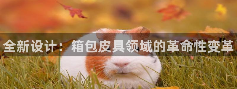 琳琅娱乐代理人是谁