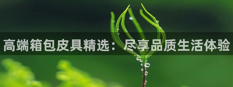 琳琅娱乐在哪直播的