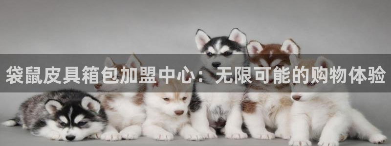 琳琅娱乐在线观看