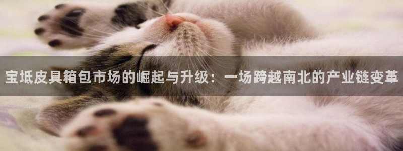 琳琅娱乐官网