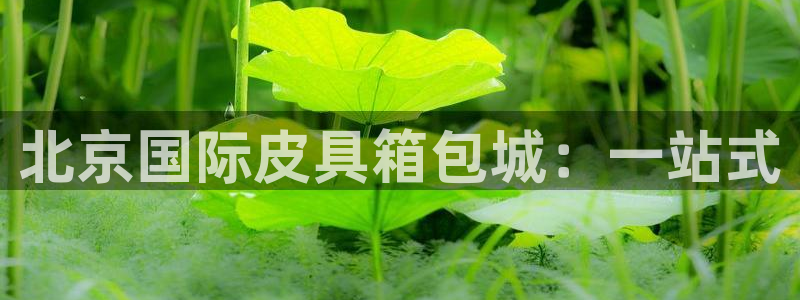 琳琅娱乐工作室招聘条件