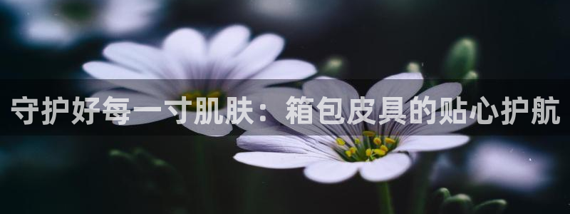 琳琅科技娱乐qq机器人词库