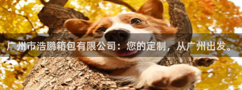 琳琅娱乐场所有哪些