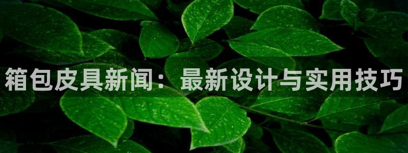 琳琅娱乐社区600u