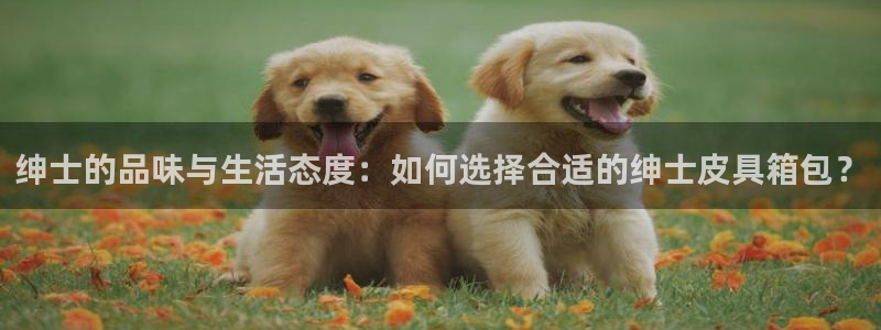 琳琅娱乐社区宅男