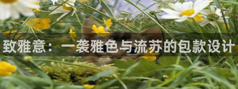 琳琅娱乐主管是谁