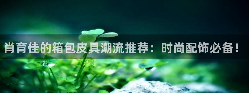 娱乐从琳琅榜开始