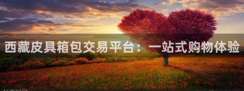 琳琅科技娱乐机器