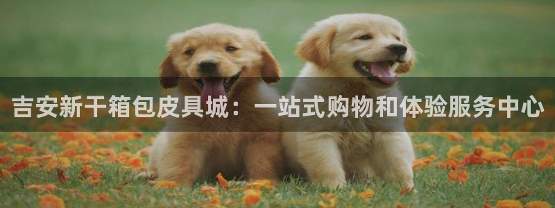 qq琳琅科技娱乐机器人