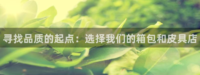 琳琅娱乐代理怎么做的