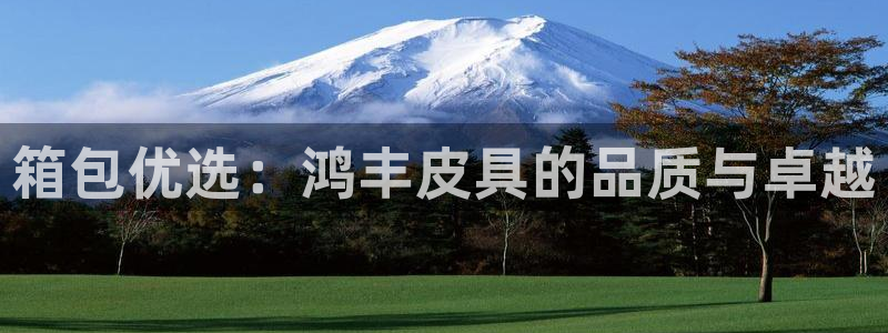 琳琅娱乐在哪直播