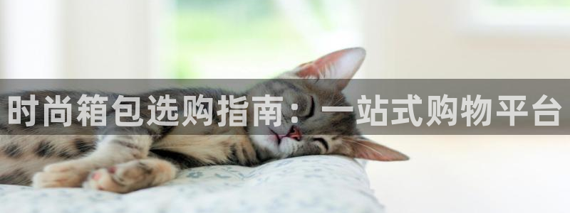 琳琅科技娱乐机器人