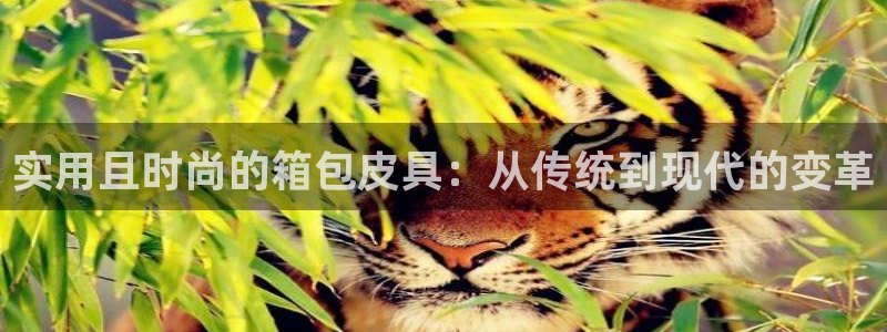 琳琅娱乐成年女人视频