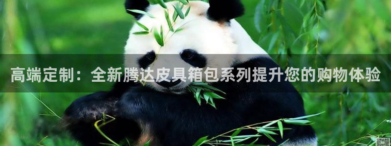 琳琅娱乐社区600