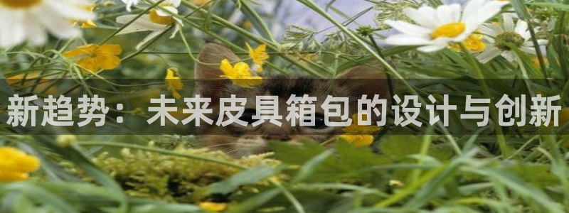 琅琳琅娱乐舍区