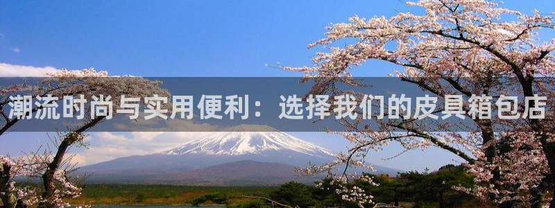 琳琅科技娱乐机器